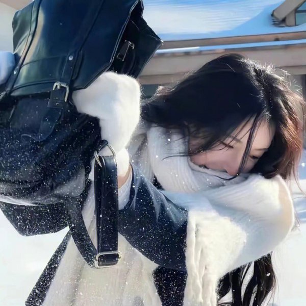 冰原历险记
