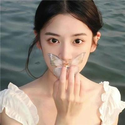 橄榄树